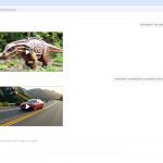 Video Generation Example 1